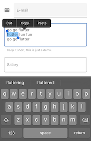適用於 iOS 的文字工具列